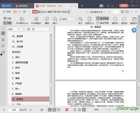 娱乐圈吃瓜pdf,PDF文件深度解析